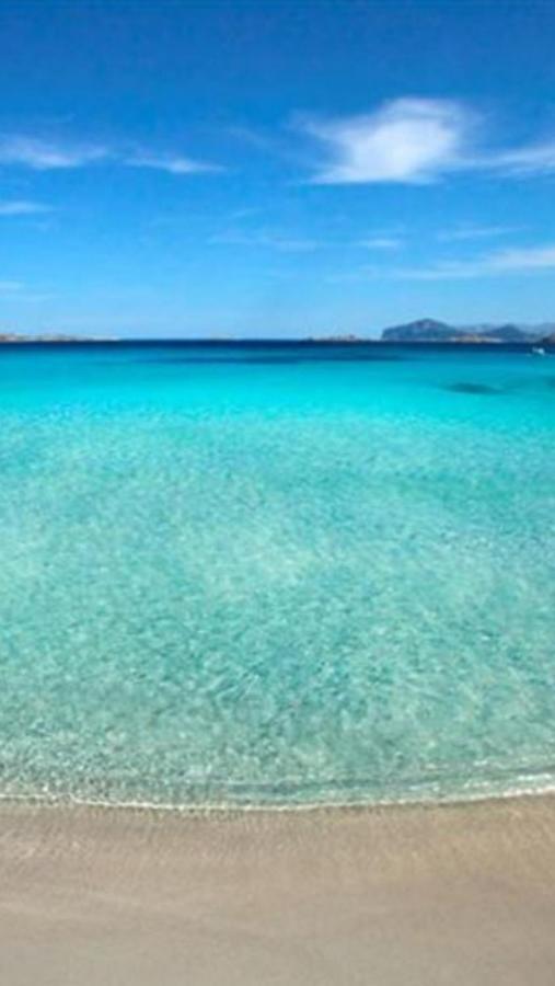 Case Vacanze La Conia Cannigione Exteriér fotografie