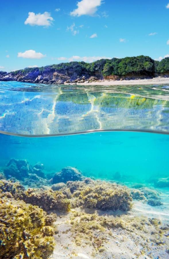 Case Vacanze La Conia Cannigione Exteriér fotografie